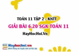 Bài 6.20 SGK Toán 11 Tập 2 Kết nối tri thức